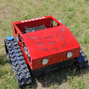 Kostenloser Versand 100% Ferngesteuerter Spindelmäher Rasenmäher Garten-Raupenmäher Grasschneider Benzin-Rasenmäher - Product Image 2