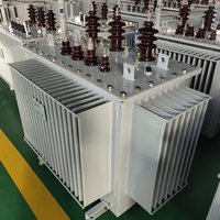 Transformador Sumergido en Aceite de 315 kVA Montado en Poste con Enfriamiento Confiable