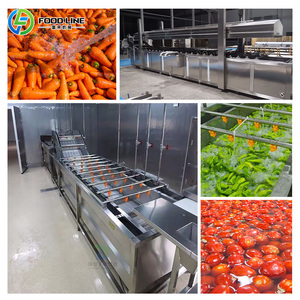 Línea de Producción para el Procesamiento de Bulbos Medianos de Hortalizas de Raíz con Congelación IQF - Product Image 5