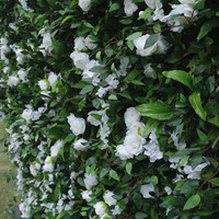 Mur végétal en tissu 5D, mur végétal simulé, fond de mur végétal, décoration intérieure, mur de fleurs, fleurs artificielles
