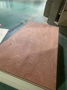 Arserwood profesyonel üreticisi su geçirmez kavak kontrplak 18mm beyaz yüksek kalite kontrplak - Product Image 3