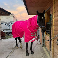 Couverture d'hiver pour cheval, grande taille, respirante, en tissu ripstop, col standard, avec sangle croisée sous le ventre, taille stable pour un confort et une chaleur optimaux