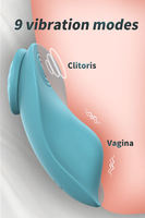 Fernbedienbare Vibrations-Slips Klitoris-Stimulierende Unterwäsche Damen-Sexspielzeug Starker Magnet IPX7 Wasserdicht 9 Frequenzen USB