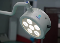 Lampe d'opération LED à focalisation électrique pour hôpital, lampe vétérinaire