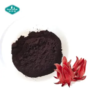 Nutrifirst Roselle Hibiscus Murni Ekstrak Bunga Sabdariffa Bubuk Ekstrak Hibiscus Syriacus dengan Anthocyanidin