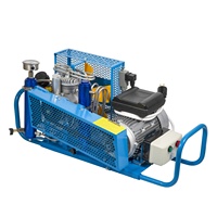 Kompresor Udara Bertekanan Tinggi 4500psi 300bar Tenaga Gas 3.5cfm untuk Pengisian Scuba Diving PCP Paintball