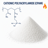 Polyacrylamide Cationique pour le Traitement des Eaux Usées Textiles, Poudre Floculante