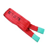Eslinga de Poliéster de Alta Resistencia Personalizada, Capacidad de 10 Toneladas, Diseño Plano Resistente al Desgaste, Ligera y Segura