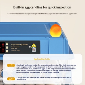 Incubadora de Huevos Automática con Control Digital de Temperatura y Volteo Automático para Incubar Huevos de Gallina, Pato, Codorniz, <span class=keywords><strong>Paloma</strong></span> y Ganso, para Uso Doméstico - Product Image 6