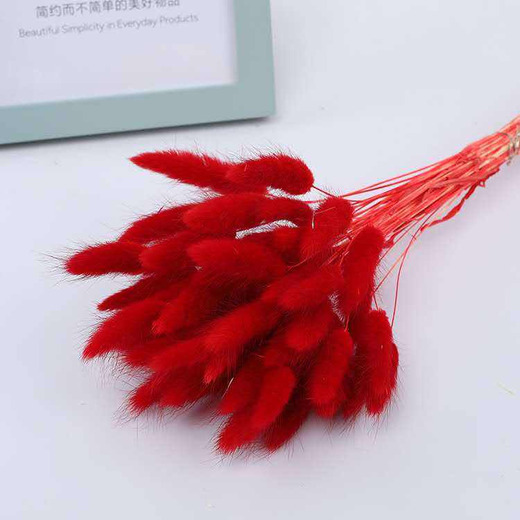 Grosse tête rouge 60