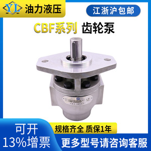 ปั๊มน้ำมันไฮดรอลิกแบบเฟือง ซีรีส์ CBF-(F)E1018 ของฟู่ซิน ซีชوان ฉางเจียง ซีรีส์ CBF-(F)E1018 - Product Image 5