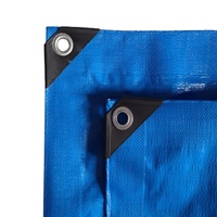 Bâche robuste en PEHD enduit, résistante aux UV, imperméable, double face, coupe-vent, pour camping extérieur et couverture de chantier