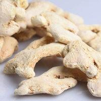 Chine Usine Prix de gros Légumes secs Gingembre cru sec Gingembre