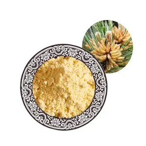 Wholesale Bulk Pine Pollen 99% Cracked Cell Wall Pine Pollen Extract Powder