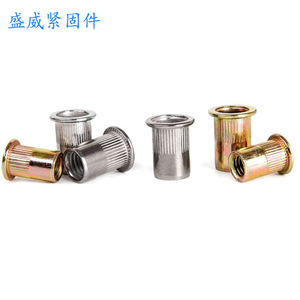 Écrous à riveter Shengwei M3-M12 en acier inoxydable 304, à tête plate, filetage interne, trou traversant, pour l'industrie de la construction - Product Image 3