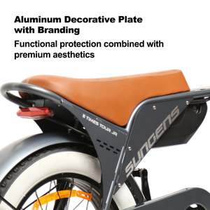 Bicicleta Eléctrica Económica con Llantas Gruesas de 20 Pulgadas, Modelo EU, Motor de 250w, 48v - Product Image 6