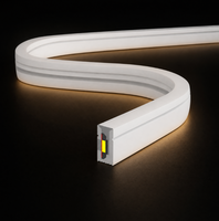 Bande LED néon flexible 4x8mm, étanche IP67, basse tension 12V/24V, blanc chaud 3000K, pour éclairage d'ambiance placard/bibliothèque, certifiée BIS ETL UKCA CE