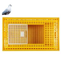 Cage de transport en plastique pour volailles, type H, neuve, pour poulets, canards, pigeons, destinée aux fermes avicoles et aux industries avicoles