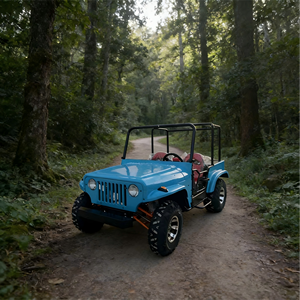 Hot Selling 4-seater Off-road Kart <b>Utv</b> with High Quality <b>Atv</b> - Product Image 1