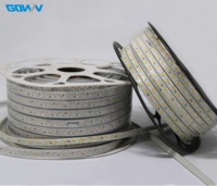 220V haute tension Double rangée Double température de couleur lumière Flexible bandes Led plafond haut coin décoration murale