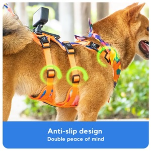 <span class=keywords><strong>Kingspeed</strong></span> สายจูงสุนัขไนลอนสีเขียวพิมพ์ลายสีสันสดใสสำหรับการถ่ายภาพกล้องถ่ายภาพกีฬาสำหรับลูกสุนัข - Product Image 2