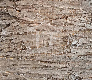 Cascas de Árvore Decorativas de Material PE de Aparência Natural, Alta Qualidade, para Cobertura de Telhados, Paredes ou Envoltório de Tubos - Product Image 3