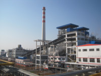 Chaudière à biomasse industrielle de 1000 kg, haute qualité, à copeaux de bois, structure verticale à tubes à eau, nouvelle production de vapeur et d'eau chaude