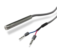 Sonde numérique Pt100 Pt1000, de résistance personnalisée, blanc, capteur de température, 2 fils, 3 fils, platine RTD