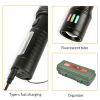 Bolsillo pequeño LED antorcha Clip luz batería seca Zoomable extensible personalizado linterna mano lámpara de luz blanca