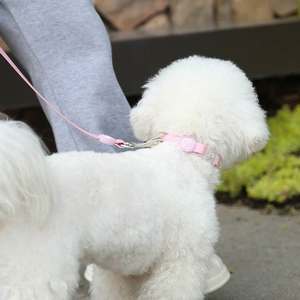 Harnais pour chien en PVC rose imperméable et réglable, laisse de marche rembourrée solide et tendance, fermeture à bouton, logo, collier de célébrité d'Internet, animaux de compagnie - Product Image 4