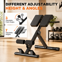 Chaise romaine pliable, banc d'hyperextension, machine d'extension dorsale réglable, équipement multifonctionnel pour entraînement abdominal et musculation à domicile