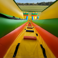 Location de fêtes pour enfants Toboggan à sec commercial Blocs gonflables à double voie pour enfants