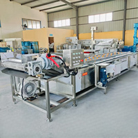 Professionele Lage Prijs Industriële Luchtmacht Multifunctionele Fruit & Groenten Wasmachine