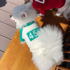 Bear Hoodie Pet Clothing For <b>Small</b> Medium Dogs Cats Poodles French Bulldogs Autumn Winter Polyester Durable Two Legged Garment - Product Image 5