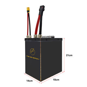 Paquete de Baterías de Litio PSN ENERGY PSN-6030S16P6 16S6P 60V 30AH 220A con Caja Metálica para Motocicleta Todoterreno Tuttio, Clasificación 10C, 500 Ciclos - Product Image 2