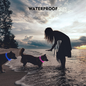 Pet Supplies LED Dog Pets Collars USB Rechargeable with Design Glowing Dog Collar Adjustable Flashing Collar Led for Dogs - Product Image 4