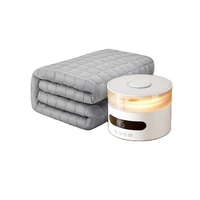Plaid électrique moderne quatre saisons avec contrôle de la température, multifonction, en polyester tricoté, pour la maison et les pique-niques