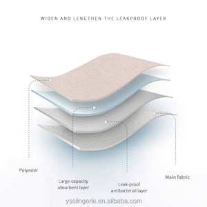 Braguitas Menstruales Reutilizables a Prueba de Fugas, Sin Costuras, de 4 Capas, Lavables, al por Mayor, Fabricante de Ropa Interior Menstrual - Product Image 6