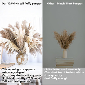<span class=keywords><strong>Vase</strong></span> de sol en herbe de la <span class=keywords><strong>pampa</strong></span> naturelle séchée <span class=keywords><strong>beige</strong></span>, arrangements floraux bohèmes, ajoute une touche de style bohème, longue durée, Nouvel An - Product Image 6