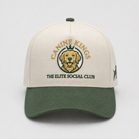 Gorras de Béisbol OEM ODM con Bordado de Club, Estilo Hip Hop para Niños, Gorras Trucker de Colores, Gorras Snapback Deportivas, Gorras de Golf con Estampado Animal para Adultos