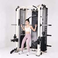 Machine Smith multifonctionnelle commerciale en acier inoxydable, rack de musculation tout-en-un, équipement d'entraînement complet pour le corps