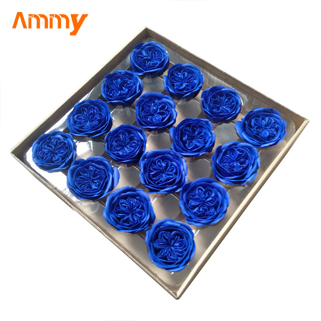 Bleu roi (16p/boîte)