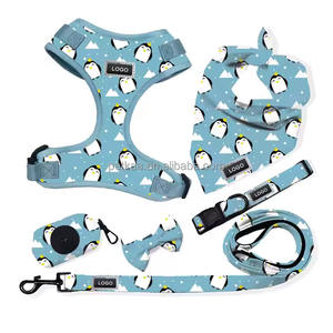 2025 productos para mascotas, los más vendidos, accesorios personalizados para caminar para perros, conjunto de <span class=keywords><strong>collar</strong></span> y correa de arnés para perros personalizados para suministros para mascotas - Product Image 1