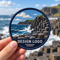 Patchs brodés APEX personnalisés avec logo et motif de marque, haute densité 3D, thermocollants ou à coudre, patchs brodés de designer d'usine