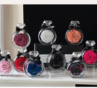 Bouteille de parfum en acrylique avec de vraies roses, fleurs préservées de la Saint-Valentin pour la remise des diplômes, fête des mères, nouvel an, fête des pères