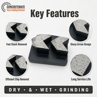 Segment de meule diamantée à liaison métallique Arrow pour ponceuse à béton et préparation des sols