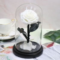 Rose rouge véritable préservée sous cloche en verre, rose éternelle, fleur pour toujours, cadeau de Saint-Valentin, cadeau d'anniversaire pour petite amie, décoration de la maison