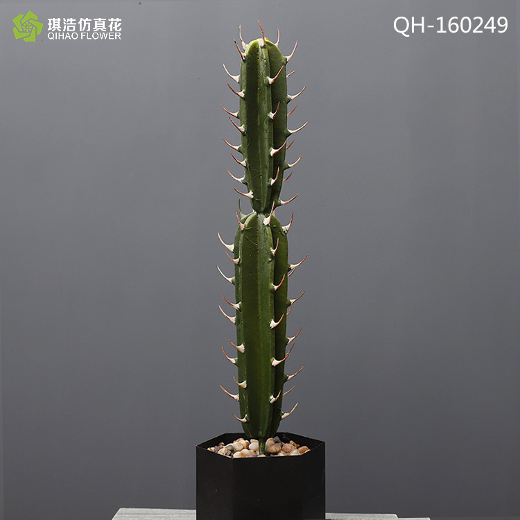 QH-170249 (without pot)
