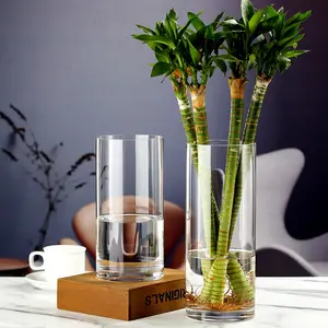 Personalizza vaso di vetro semplice cilindro di alta qualità decorazione della casa vaso di vetro vaso di vetro trasparente addensato