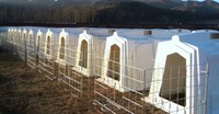 Nouvelle enclos extérieur durable en LLDPE de type A pour veaux, pour usage agricole - Cages pour animaux de la marque Terrui avec garantie d'un an